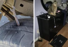 25 невероятных курьезов, когда не повезло ещё больше, чем обычно