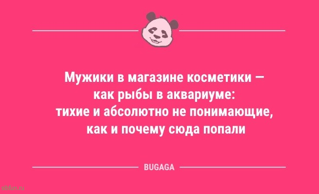 Анекдоты в середине недели: «Вы живёте в полной гармонии…» 