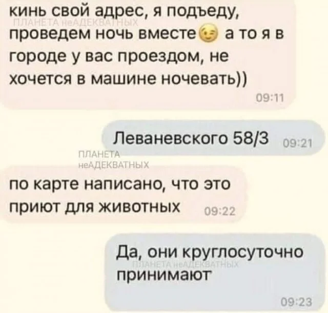 Веселые улыбахи #8