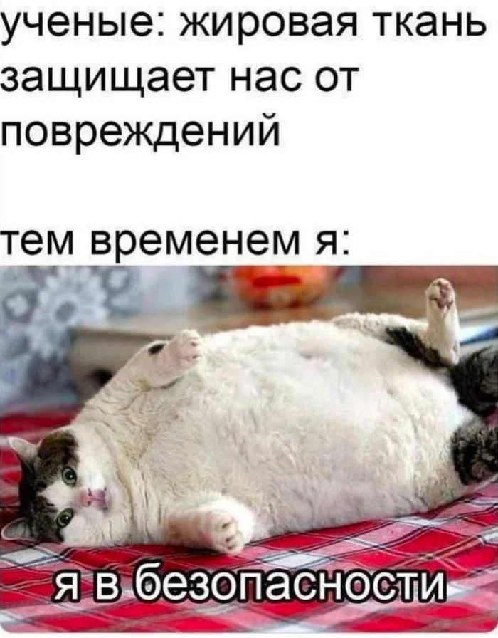 Нестандартный юмор #332