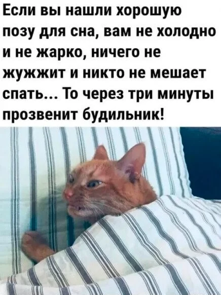 Прикольные картинки - свежо и хорошо!