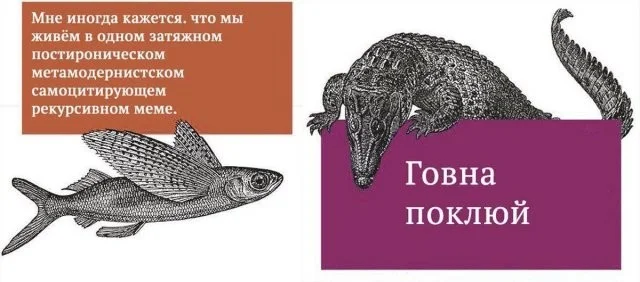 Смешные скрины из соцсетей #27
