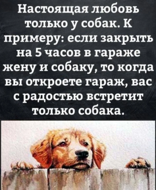 Какие-то баяны
