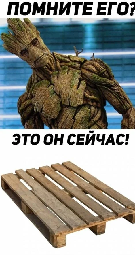 Нестандартный юмор #335