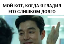 Двадцать картинок!