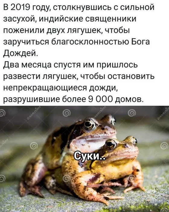 Разные прикольчики