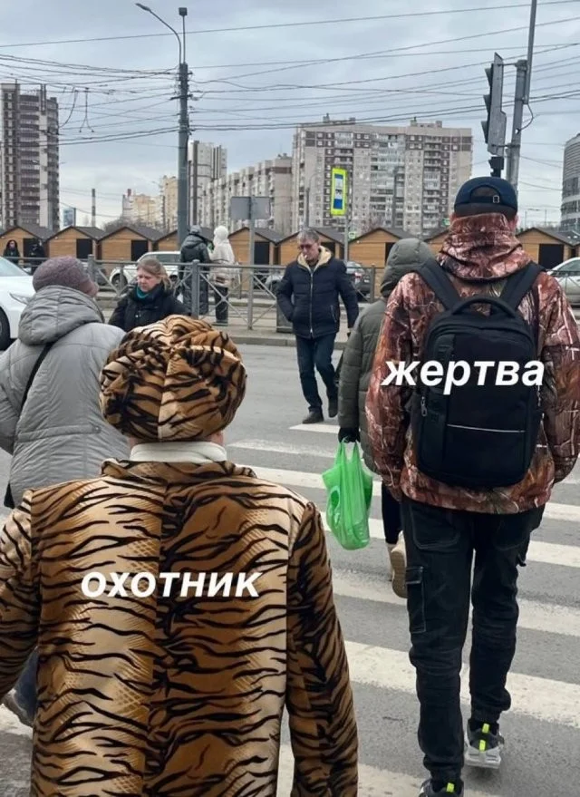 Смешные скрины из соцсетей #31