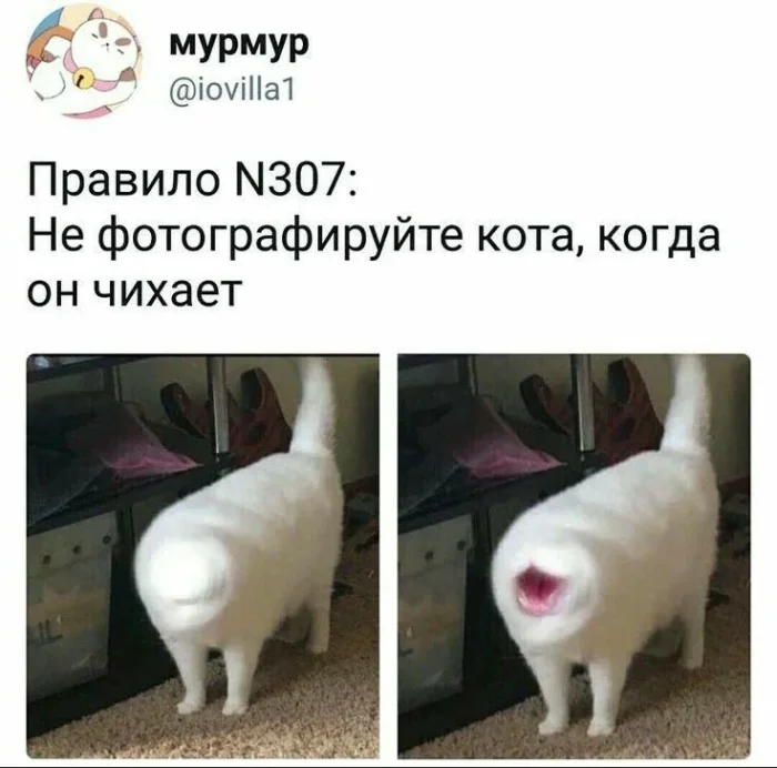Картинки с буквами