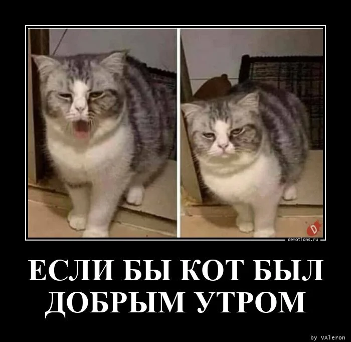 Демотиваторы на любой вкус