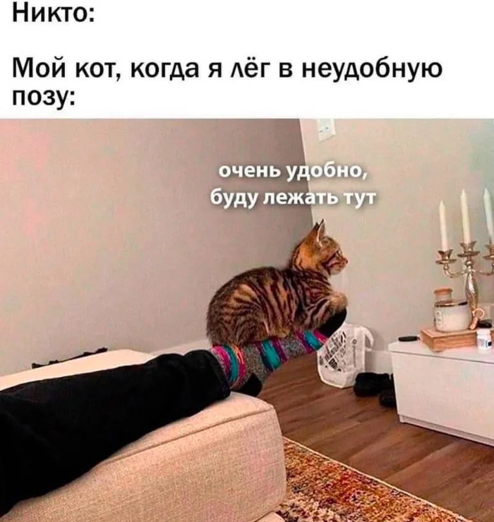 Нестандартный юмор #340