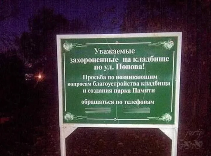 Картинок дэцл