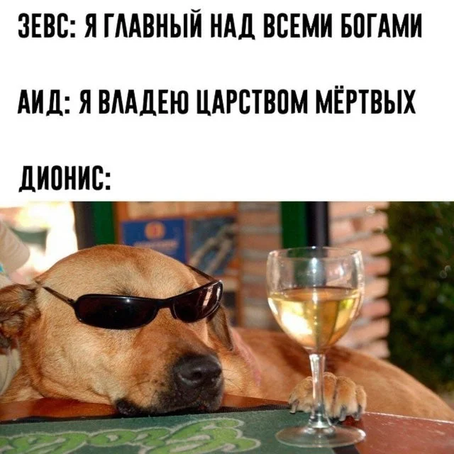 Смешные скрины из соцсетей #26