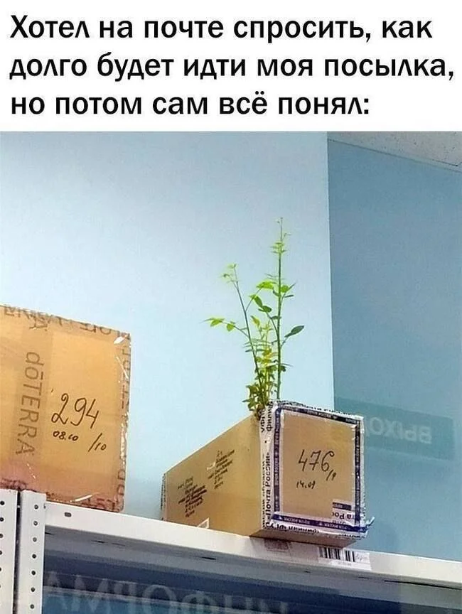 Нестандартный юмор #316