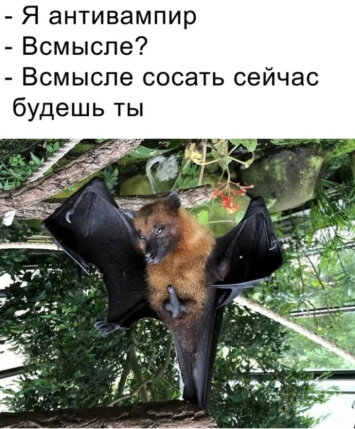Нестандартный юмор #330