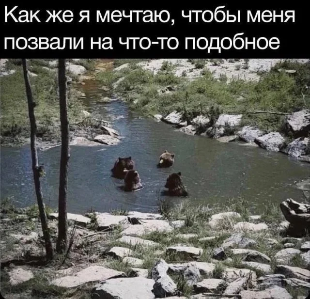 Смешные скрины из соцсетей #26