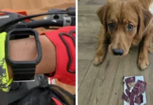 Плохой день? Эти ребята точно переплюнули вас