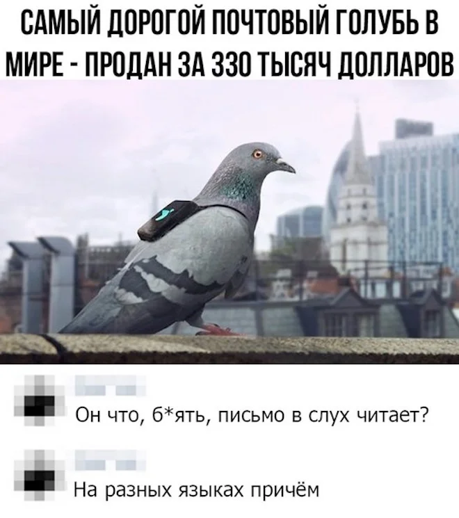 КартинкоПостик