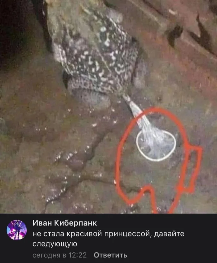 Картинок дэцл