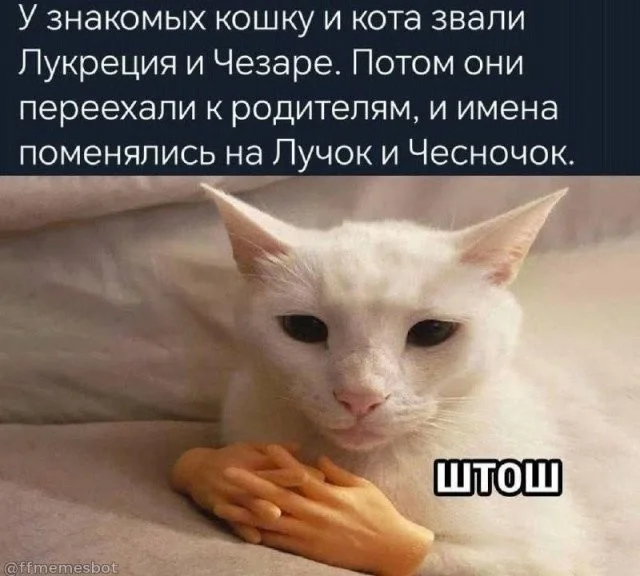 Смешные скрины из соцсетей #28