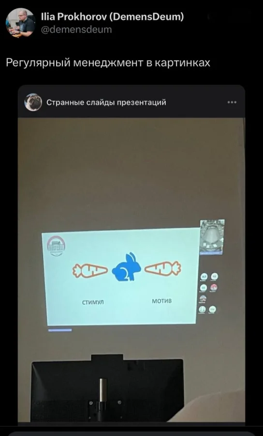 Картинок дэцл