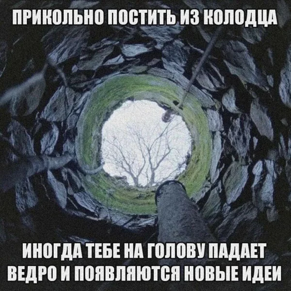 Свежак или баяны? Правильно! Баяны!