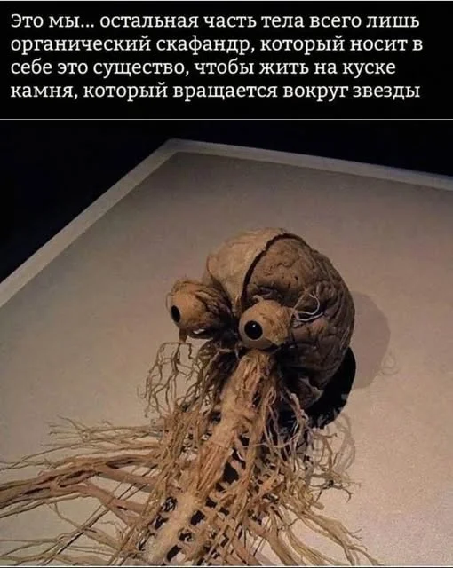 Всякие разные картинки
