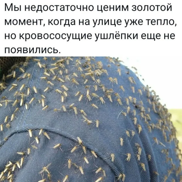 Весёлые картинки
