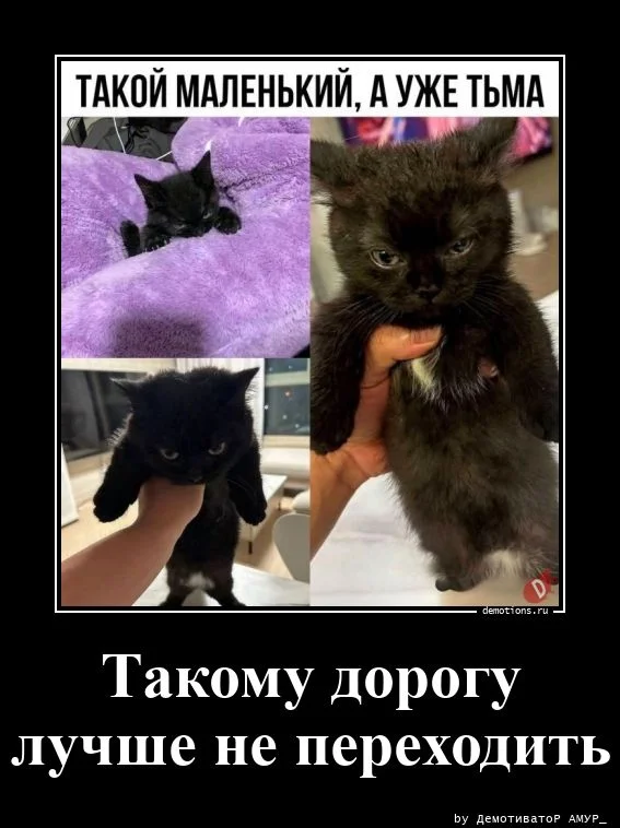 Демотиваторы свежие