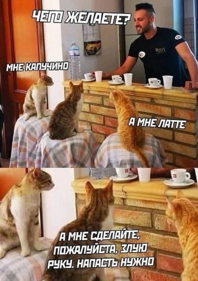 Так себе юмор #24