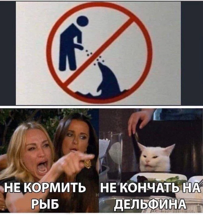 Нестандартный юмор #338