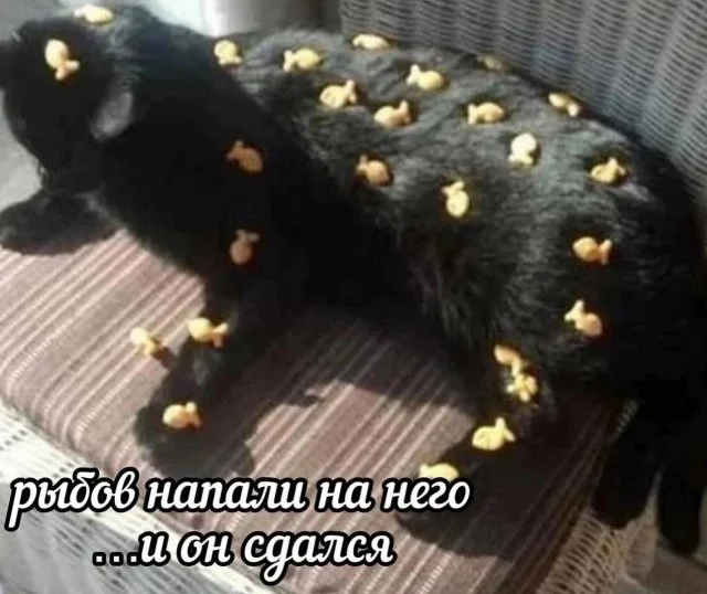 Смешные скрины из соцсетей #25