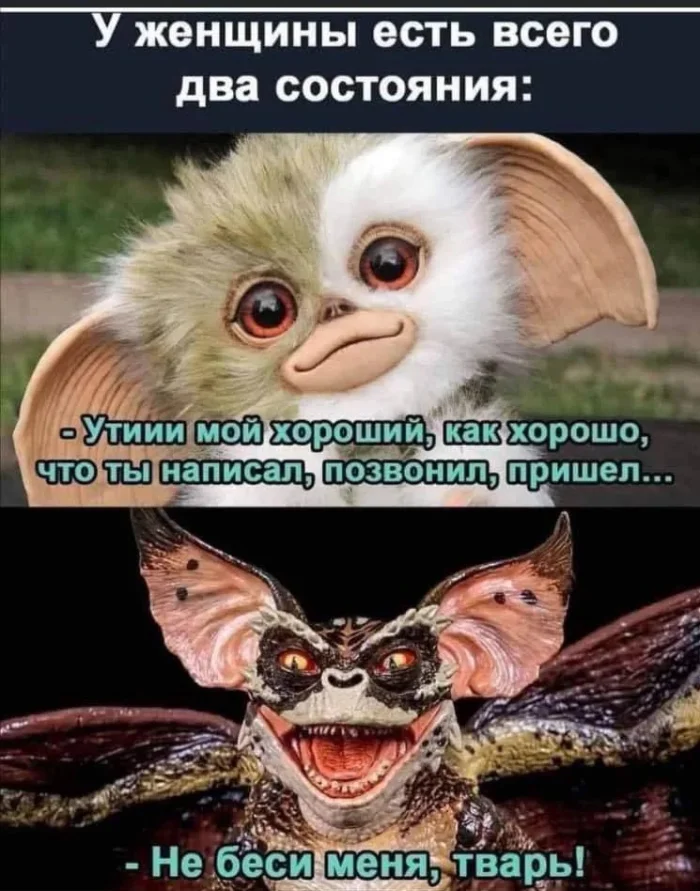 Картинок дэцл