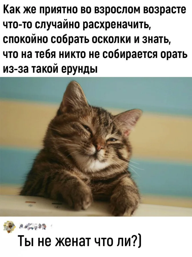 Нестандартный юмор #323