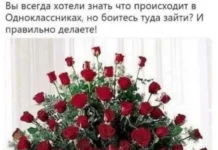 Смешные скрины из соцсетей #19