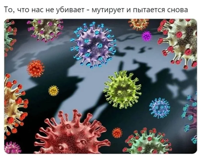 Нестандартный юмор #316
