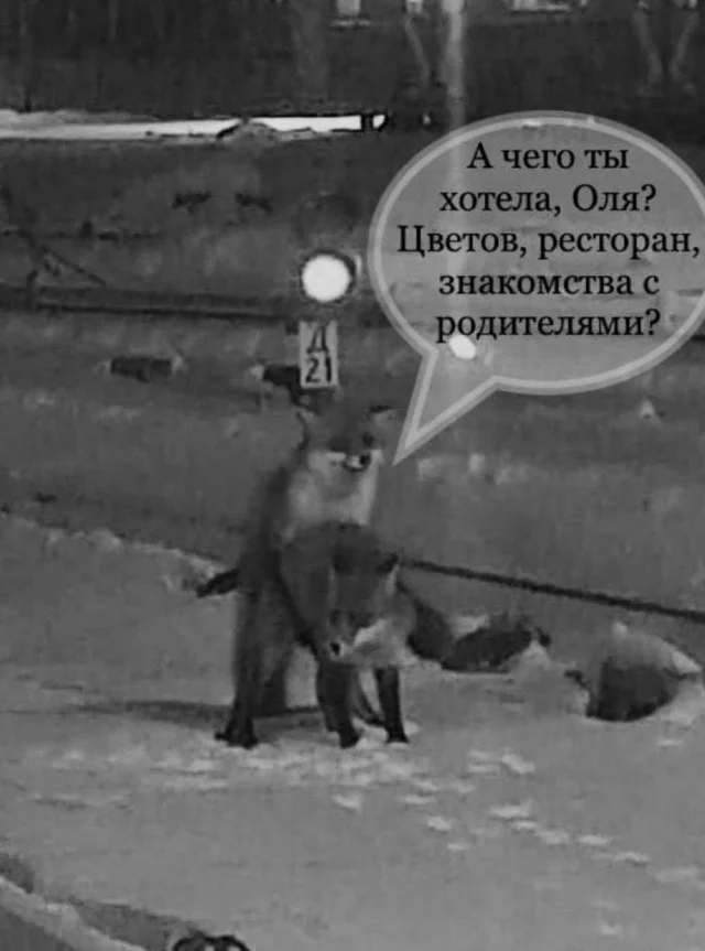 Веселые улыбахи #5