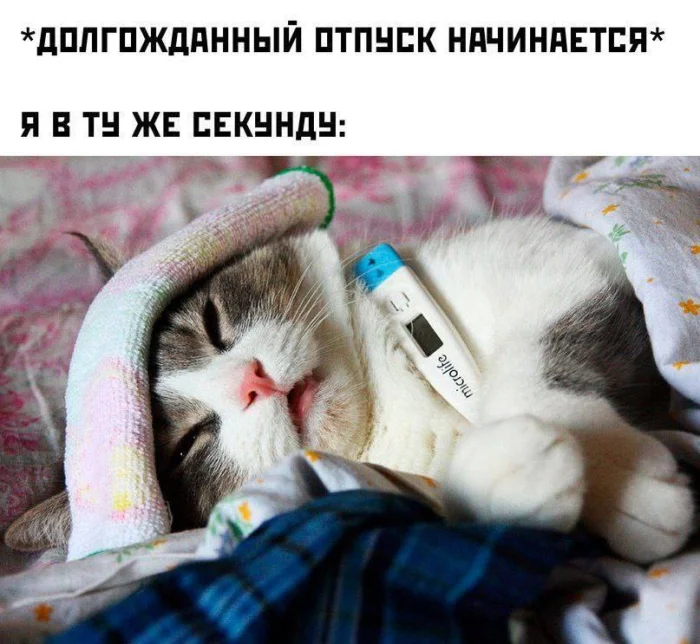 Нестандартный юмор #330