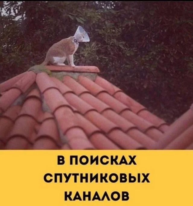 Смешные скрины из соцсетей #13