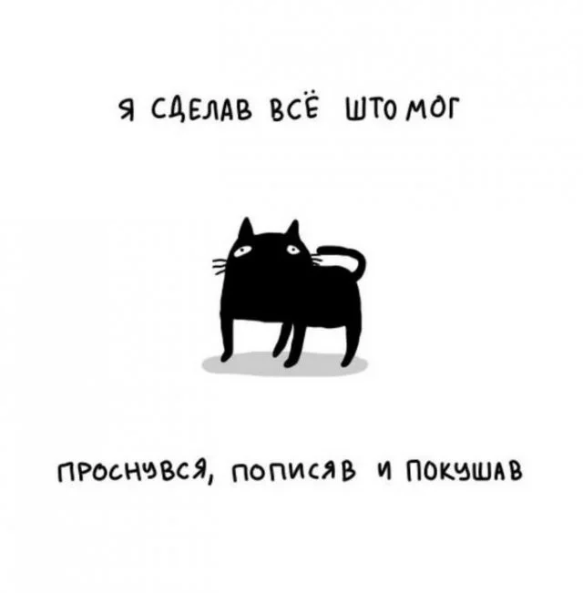 Смешные скрины из соцсетей #28