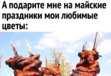 Прикольные картинки — свежо и хорошо!