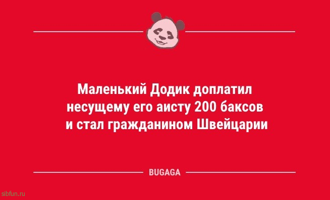 Анекдоты в середине недели: «Ребята, у меня есть куча советов…» 
