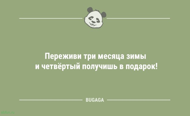 Анекдоты обо всём: «Инстаграм — это такое место…» 
