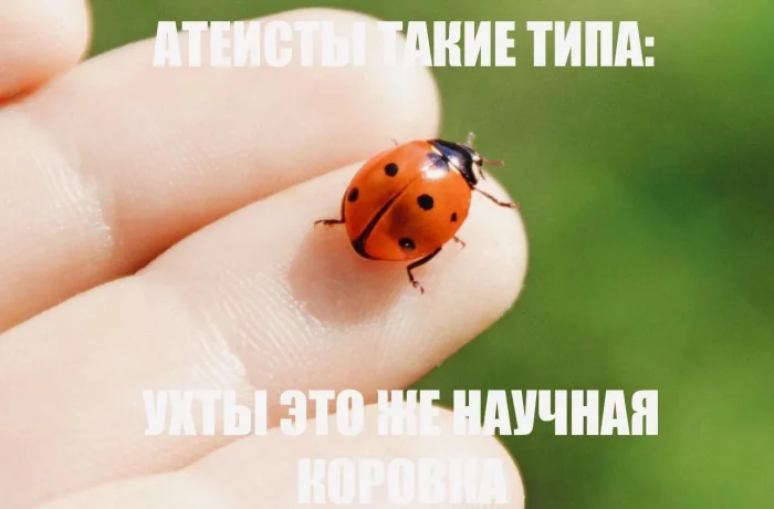 КартинкоПостик
