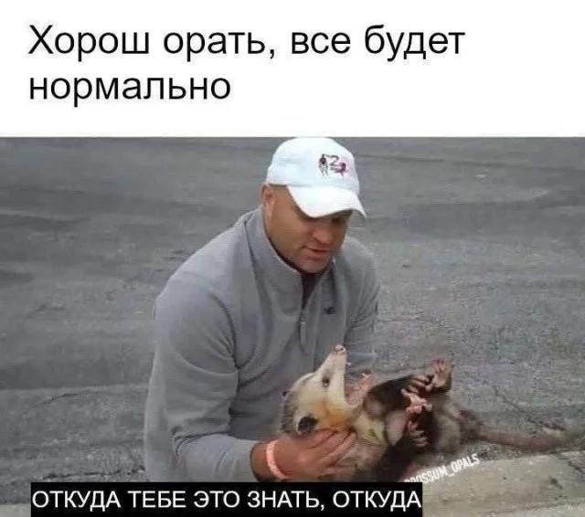 Смешные скрины из соцсетей #27