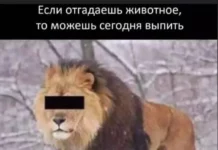 Нестандартный юмор #334