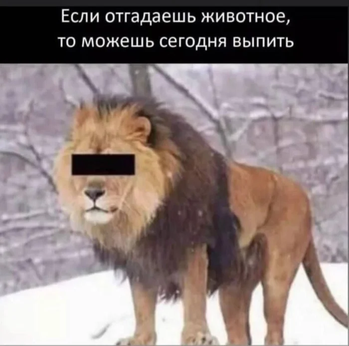 Нестандартный юмор #334