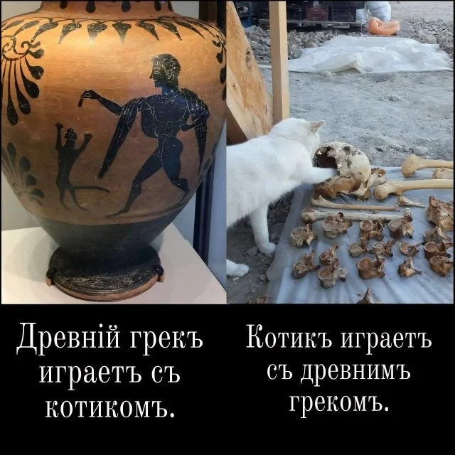 Смешные скрины из соцсетей #26