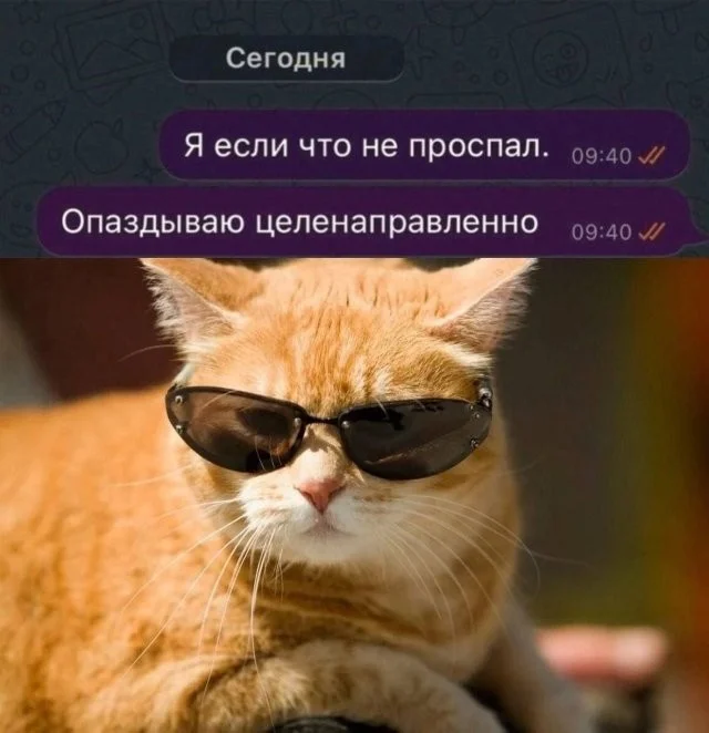Смешные скрины из соцсетей #29