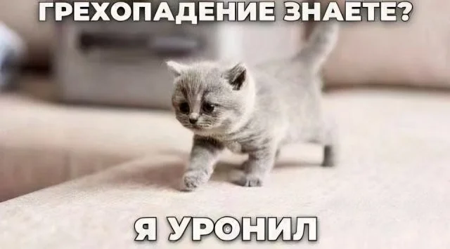 Смешные скрины из соцсетей #22