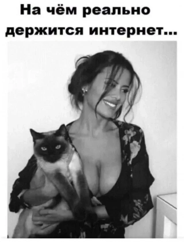 Нестандартный юмор #339